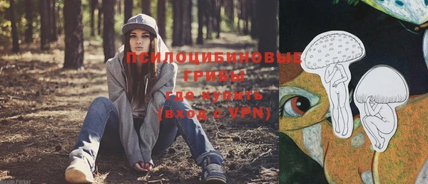 дмт Козельск