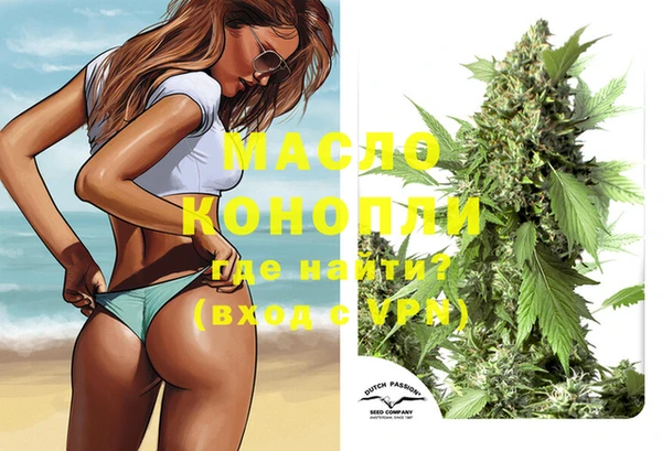 сатива Коряжма
