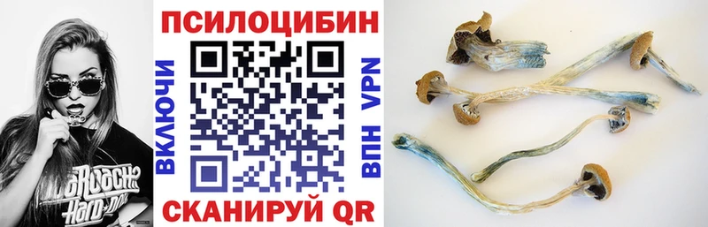 Галлюциногенные грибы мицелий  Снежногорск 